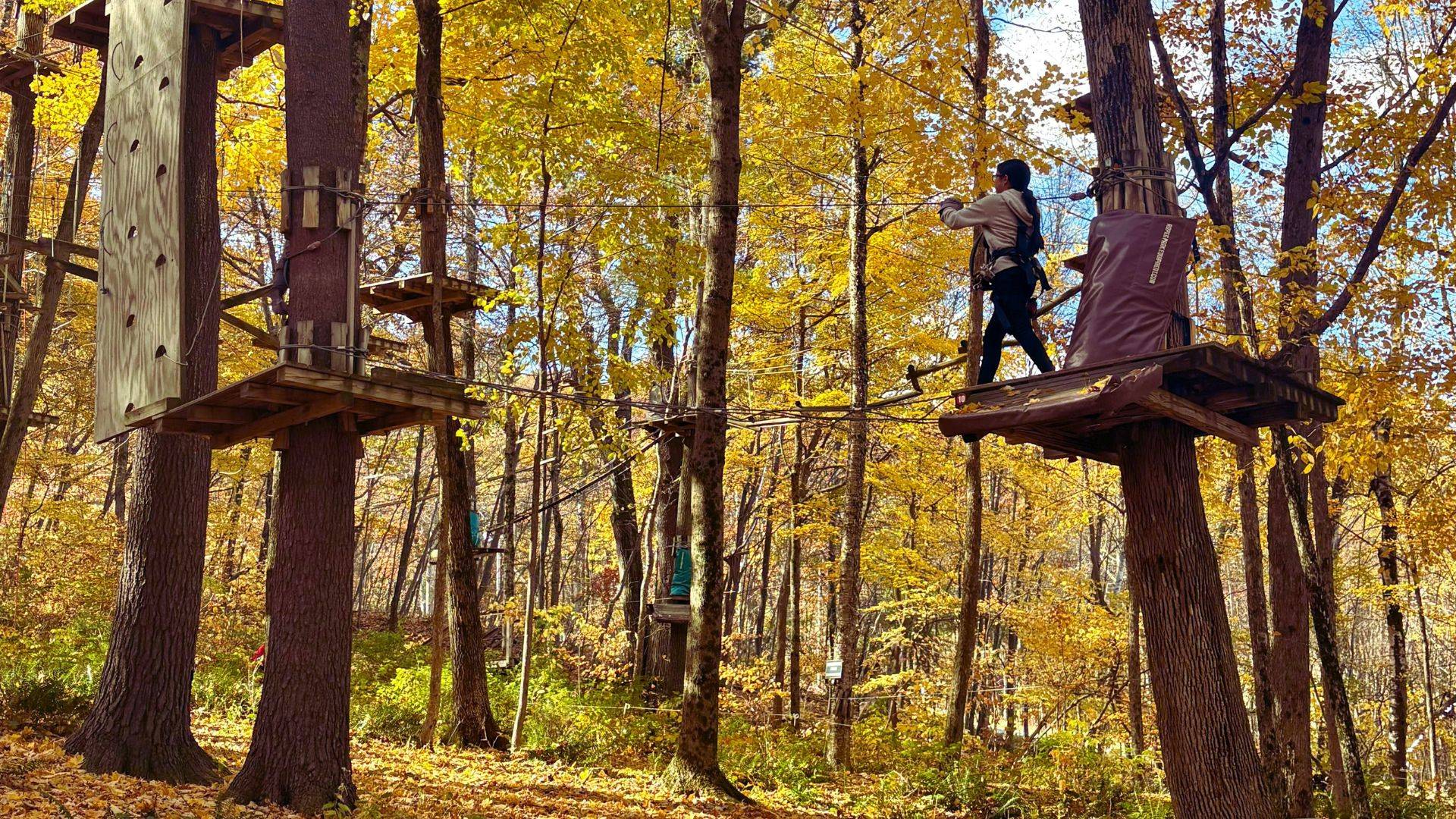 Catamount Aerial Adventure Park